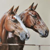 Equestrian category